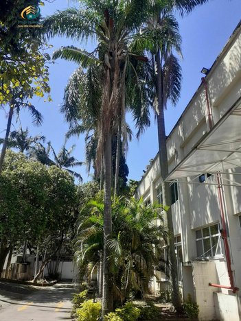 house em Avenida Indianópolis, Indianópolis - São Paulo - SP