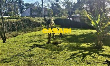 land_lot em Rua Augusto Paulino, Rio Grande - São Bernardo do Campo - SP