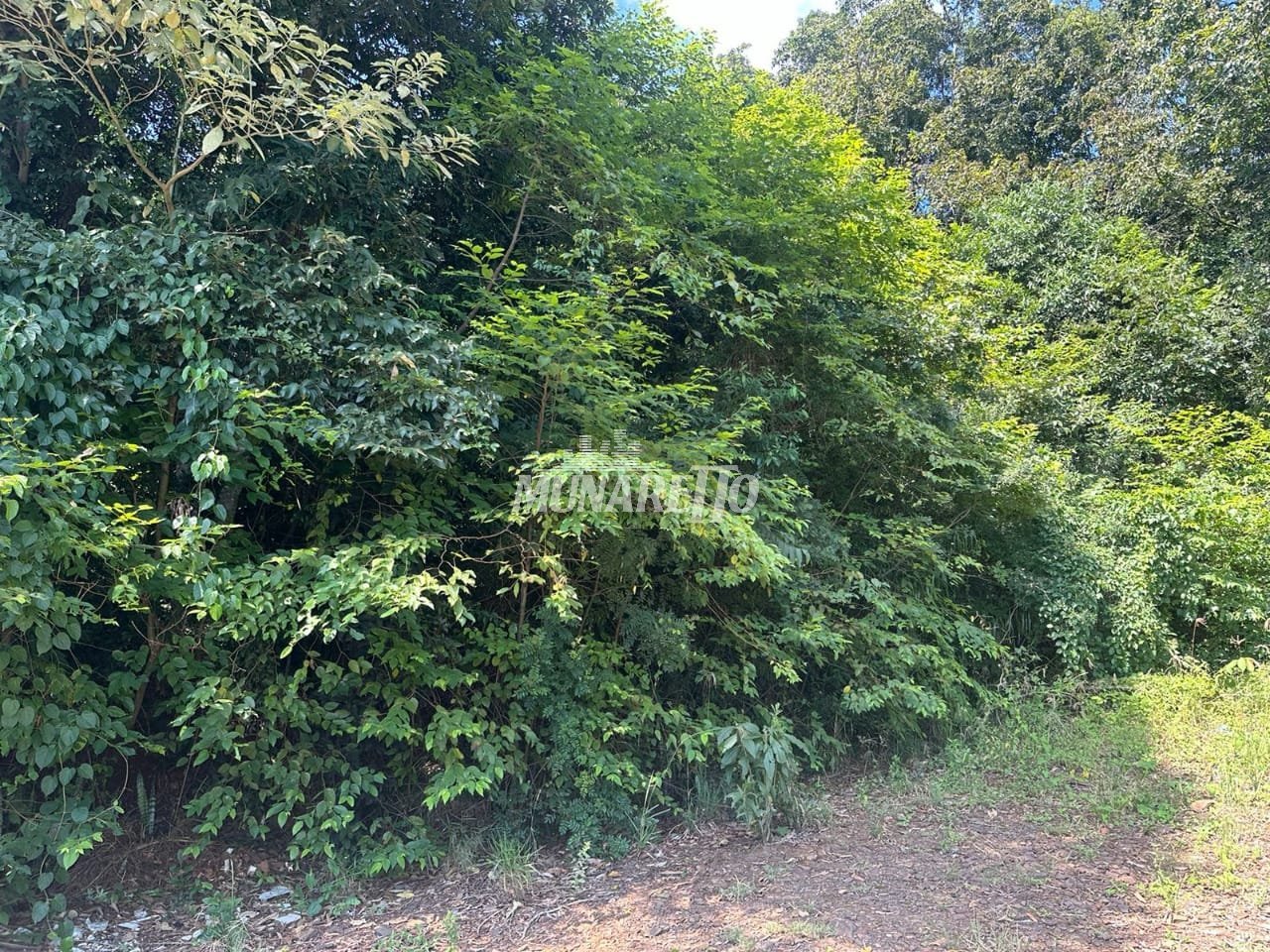 terreno-a-venda-453m-sao-cristovao-concordia-sc1743628369124gbkna.jpg