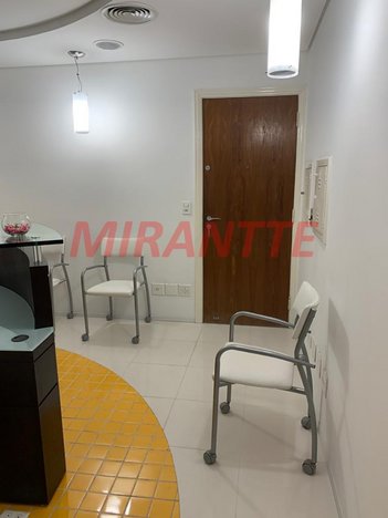 office em Conselheiro Saraiva, Santana - São Paulo - SP