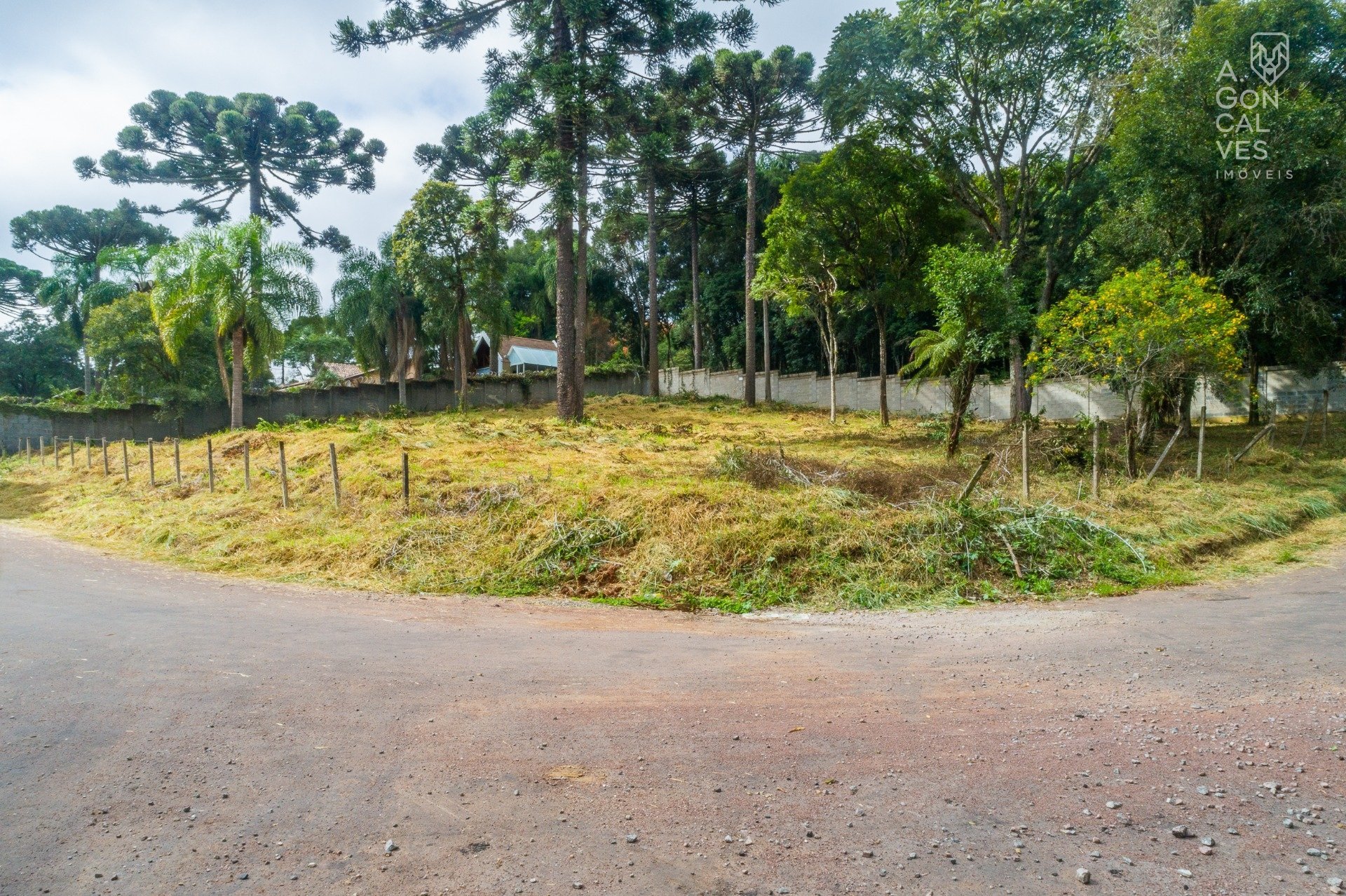 gonçalves - terreno - rua antidio batista de souza , 195 - pinhais-10