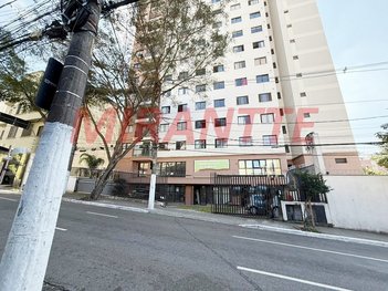 business em Conselheiro Ramalho, Bela Vista - São Paulo - SP