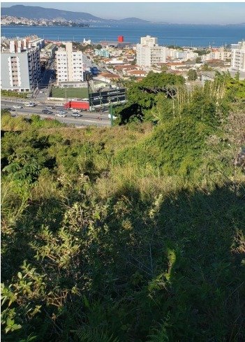 land_lot em BR-101, Picadas do Sul - São José - SC
