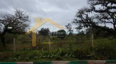 commercial_building em Rua Carioca, Carioca - Sapucaia do Sul - RS