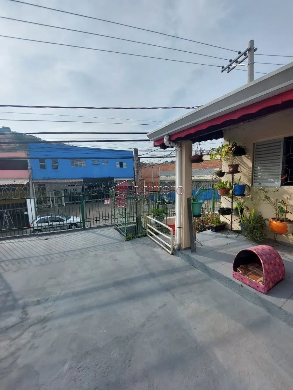 image-2