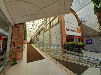 business em Professor João Cândido, Centro - Londrina - PR