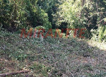 land_lot em Dos Ipês, São Vicente - Mairiporã - SP