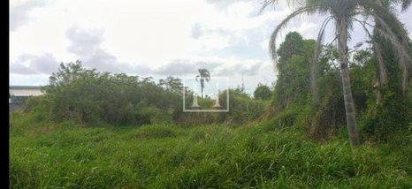 land_lot em Rua Galvão, Carianos - Florianópolis - SC