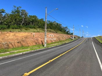 land_lot em Avenida Champs Elysée, Amizade - Jaraguá do Sul - SC