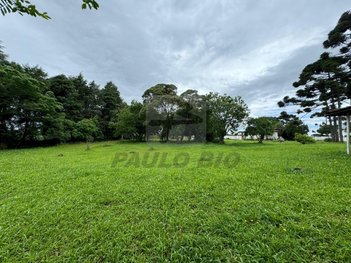 commercial_land_lot em Rua Antônio Singer, Campo Largo da Roseira - São José dos Pinhais - PR