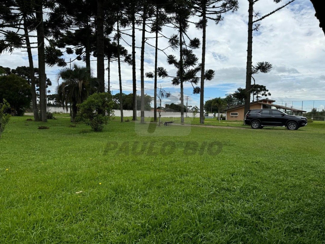 WhatsApp Image 2025-10-10 at 18.31