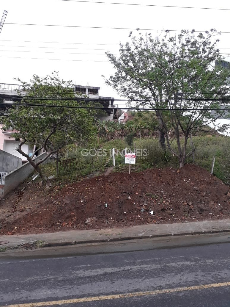 foto01