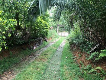 agricultural em Rua das Águias, Chácara das Garças - Santana de Parnaíba - SP
