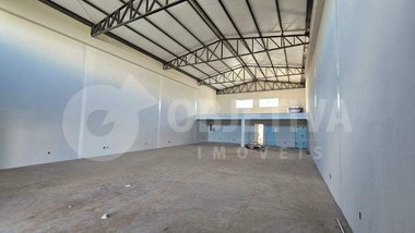 industrial em Avenida Segismundo Pereira, Novo Mundo - Uberlândia - MG