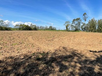 agricultural em Estrada Geral, Bela Vista - Santa Rosa do Sul - SC