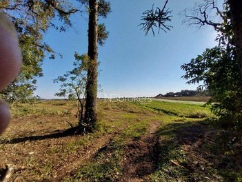agricultural em Rua Inácio Greboge, Colônia Rio Grande - São José dos Pinhais - PR