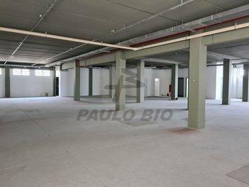commercial_property em Coronel Meireles, Vila Marieta - São Paulo - SP
