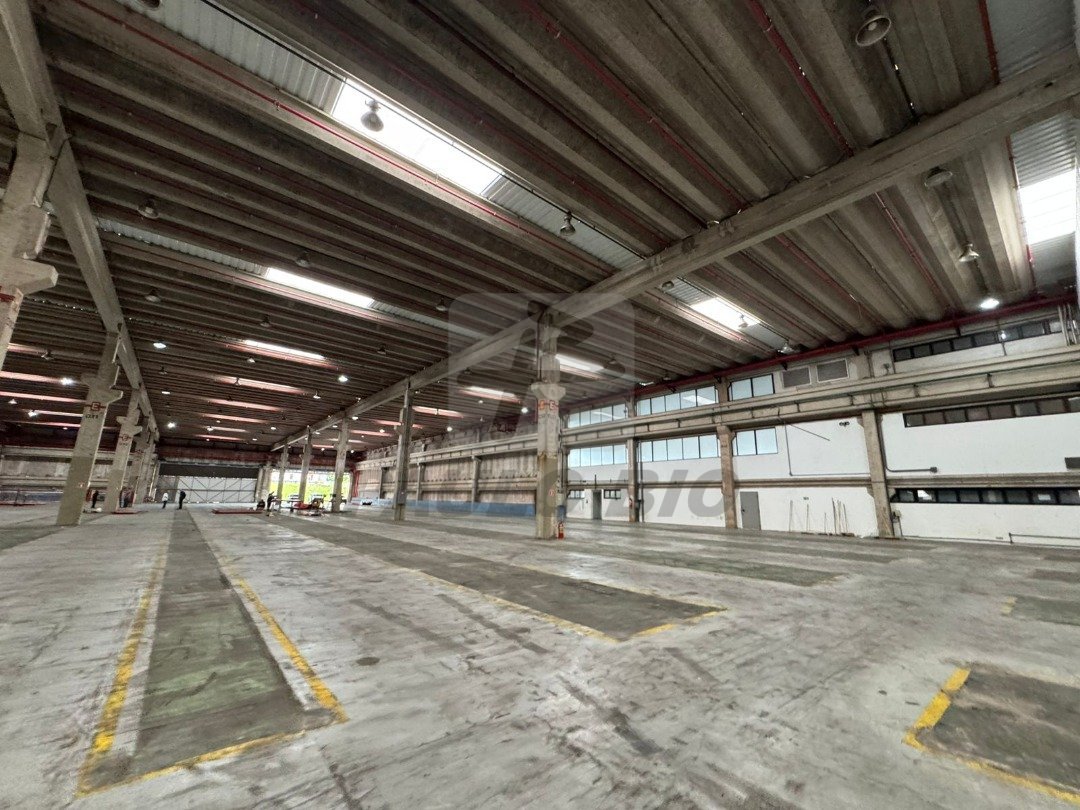 WhatsApp Image 2025-11-21 at 08.59