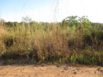 land_lot em Avenida Doutor Sílvio Caldas, Jardim Candidés - Divinópolis - MG
