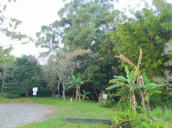 land_lot em Doutor Antônio Luiz Moura Gonzaga, Rio Tavares - Florianópolis - SC
