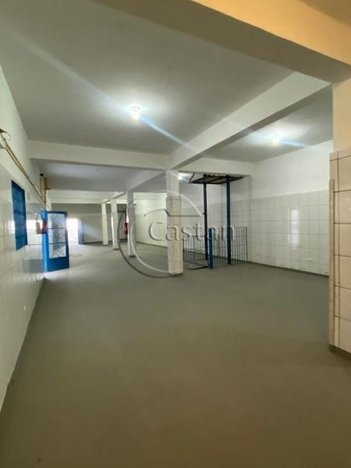 industrial em Rua das Giestas, Vila Bela - São Paulo - SP