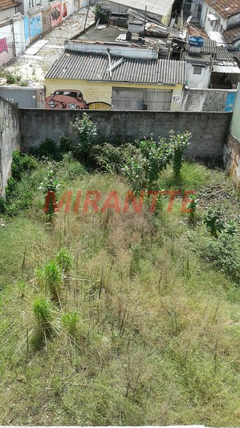 land_lot em Felício Ciaccio, Santana - São Paulo - SP