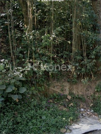 land_lot em Rua Teodoro Lanhoso, Jardim Virginia Bianca - São Paulo - SP