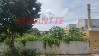 land_lot em Arlindo Pasqualini, Jardim Leonor Mendes de Barros - São Paulo - SP