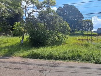 land_lot em Rua Pedro Petry, Rondônia - Novo Hamburgo - RS
