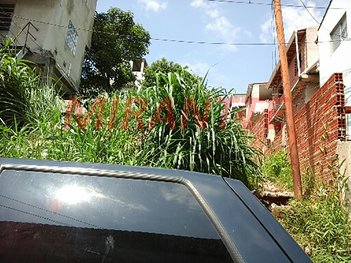 land_lot em Irineu Maciel, Vila João Batista - São Paulo - SP