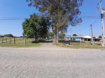 commercial_building em Joaquim Alves Fontes, Colônia Murici - São José dos Pinhais - PR