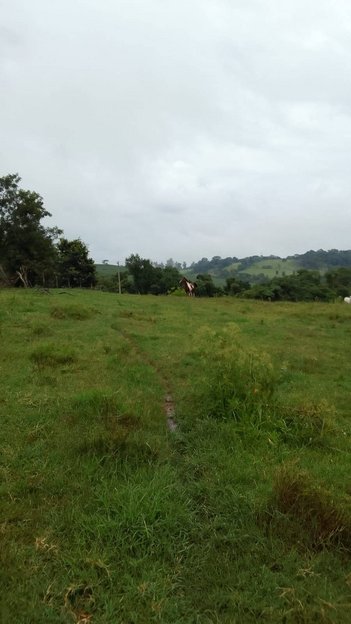 agricultural em Área Rural, Área Rural de Itapetininga - Itapetininga - SP