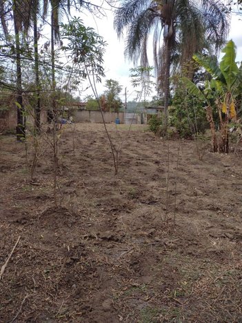 land_lot em Geraldo Tertuliano dos Santos, Areias (Justinópolis) - Ribeirão das Neves - MG