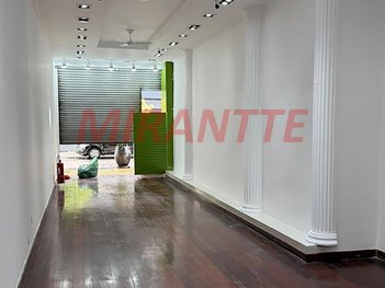 business em Rua Oriente, Brás - São Paulo - SP