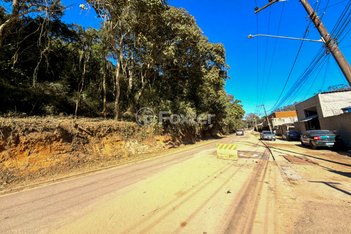land_lot em Avenida Miro Attílio Peduzzi, Tanque Caio - Ribeirão Pires - SP