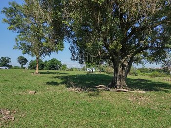 commercial_building em dos Eucaliptos, Centro - Piracicaba - SP