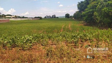 commercial_land_lot em Rodovia PR-317, Parque Industrial Bandeirantes - Maringá - PR