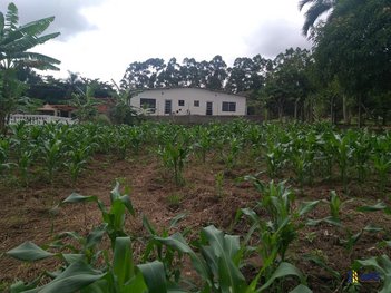 agricultural em Rua dos Ipês, Portal de Pirapora - Salto de Pirapora - SP