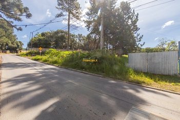 commercial_land_lot em Rua dos Palmenses, São Miguel - Curitiba - PR