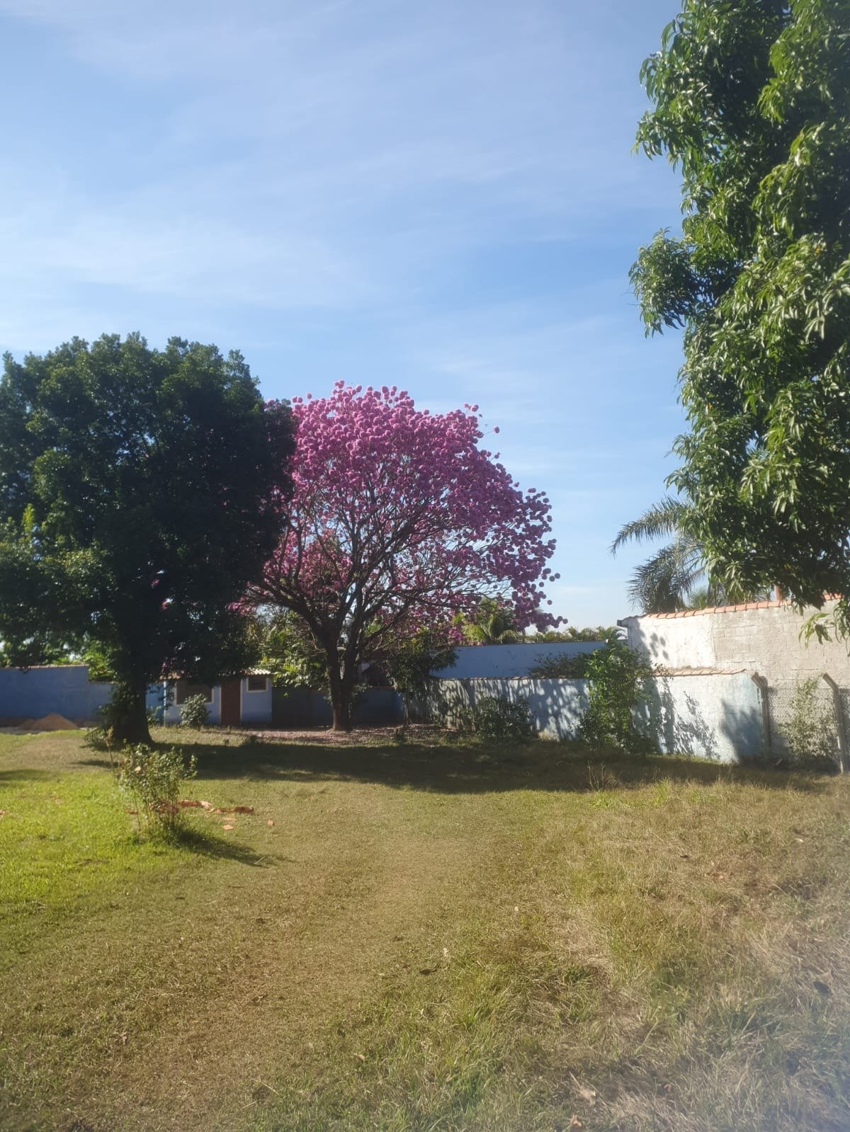 Foto 02