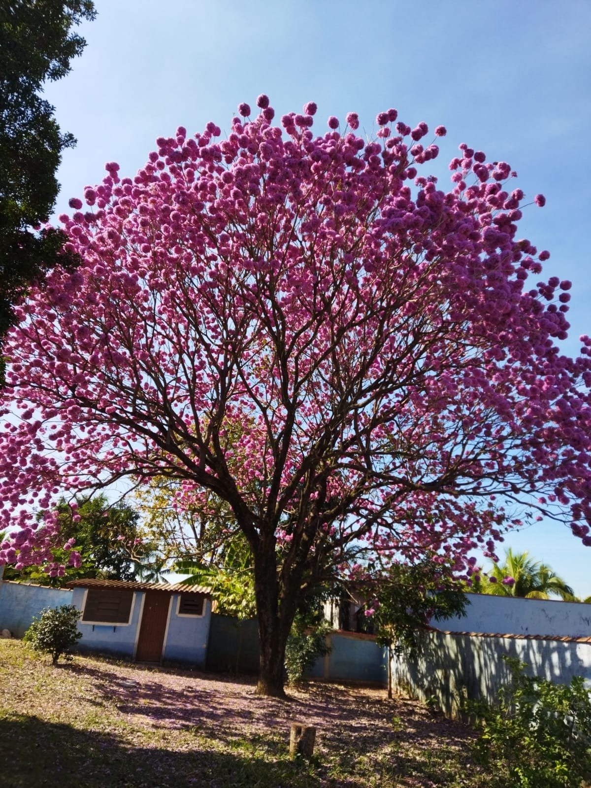 Foto 04
