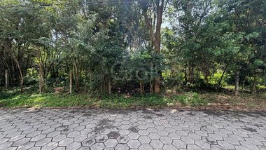 land_lot em Servidão Pedro Manoel Borba, Pântano do Sul - Florianópolis - SC