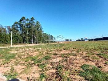 land_lot em Estrada Passo do Caí, Nova Santa Rita - Nova Santa Rita - RS