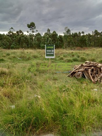 land_lot em Treze (vila Jacob Brod), Três Vendas - Pelotas - RS