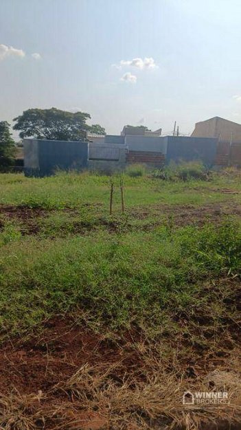 land_lot em Rua Benedito Flávio Simões, Paiçandu - Paiçandu - PR