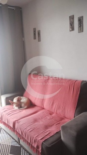 apartment em Rua José Kauer, Brás - São Paulo - SP