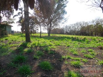 land_lot em Rodovia Elzio Mariotoni, Jardim Áurea - Mogi Mirim - SP