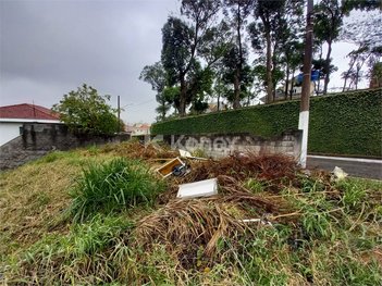 land_lot em Rua Diolândia, Jardim Franca - São Paulo - SP