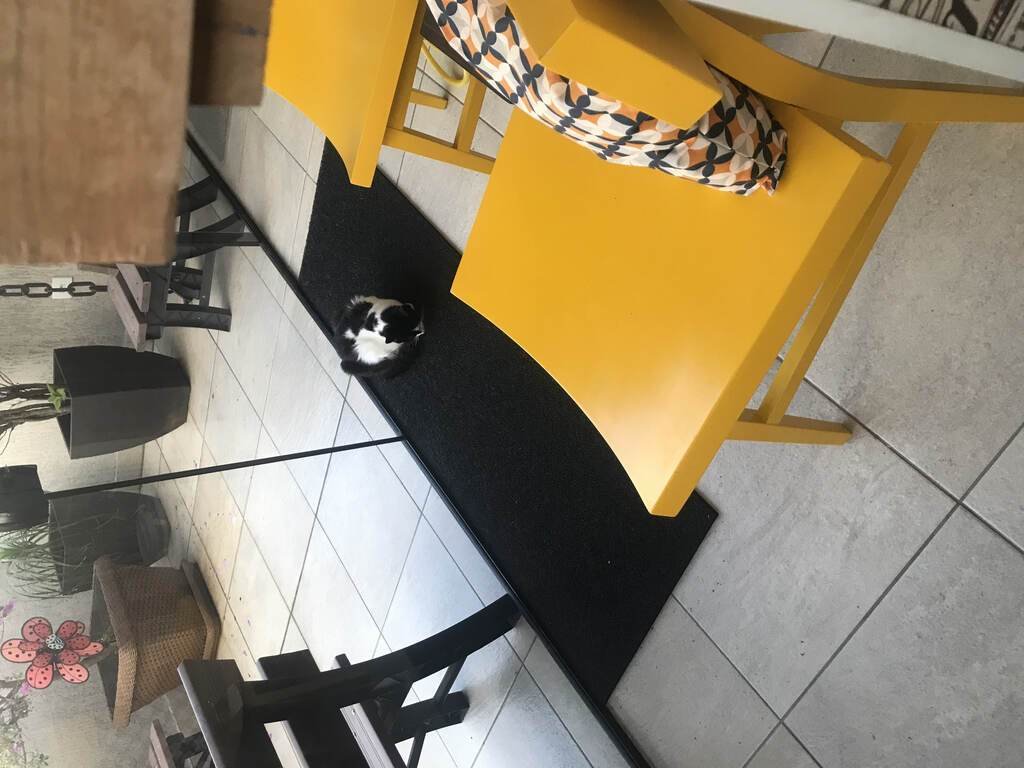 img3