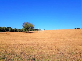 commercial_building em Alto, Industrial - Guarapuava - PR